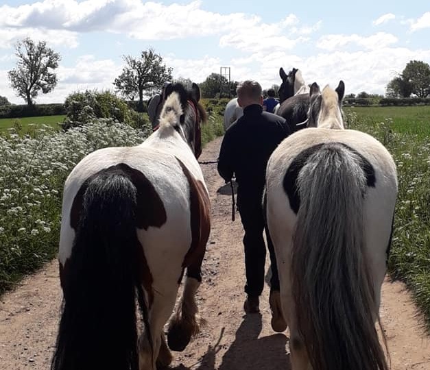 Park View Riding School