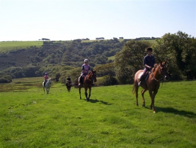 Dean Riding Stables