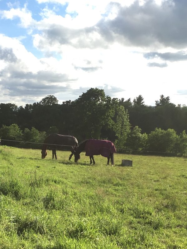 Quality Not Quantity