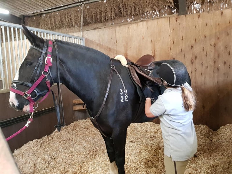 Rein & Shine Equestrian Centre (Wiltshire)