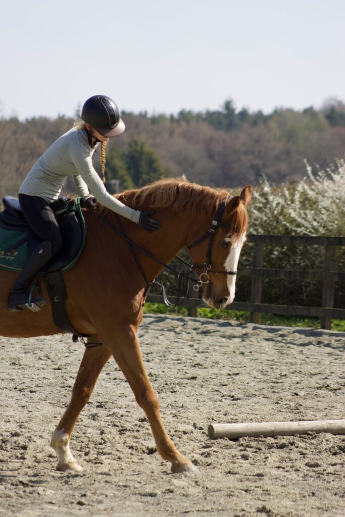 Affinity Showjumping