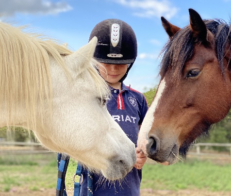 Old Bexley Equestrian Centre