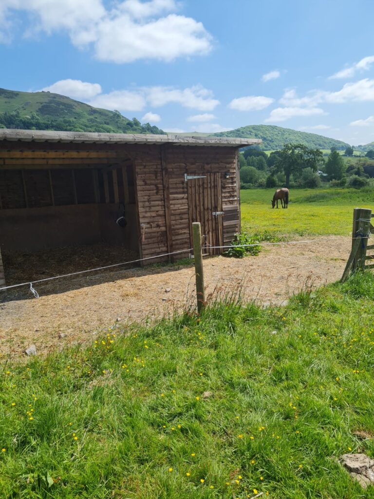 Barnfield Farm Livery