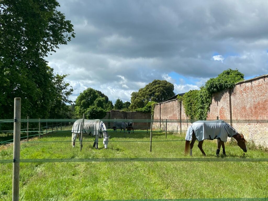 Jude Burgess – Bedgebury Equestrian Centre