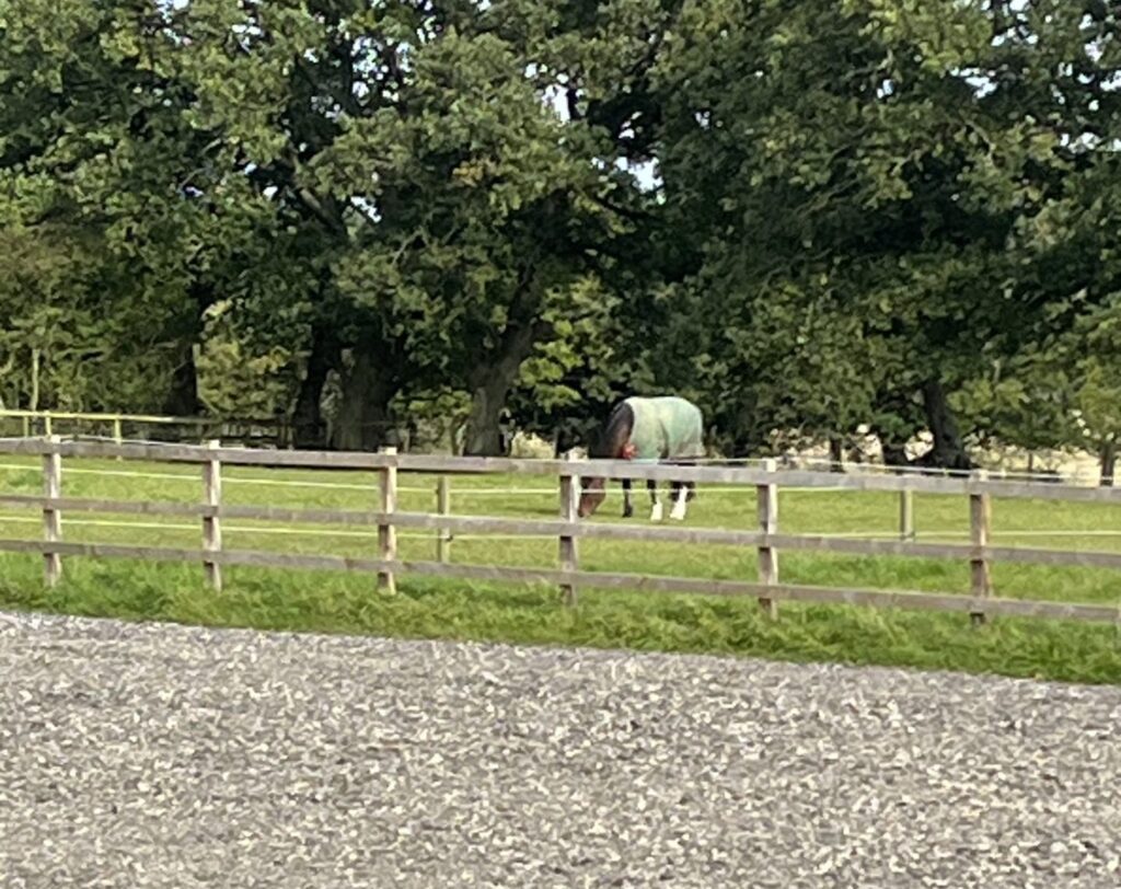 Benridge Riding Centre