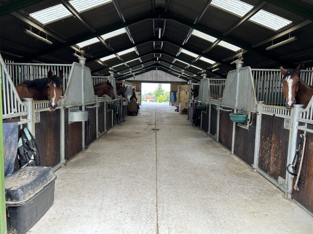 Jonty Evans Coaching & Livery at Brookside Lodge Stables