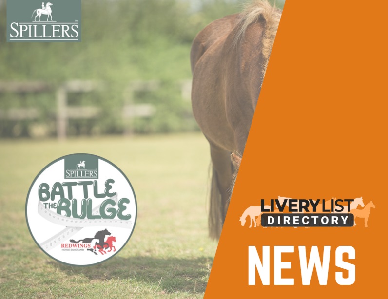 New Partnership Launches “Battle of the Bulge”