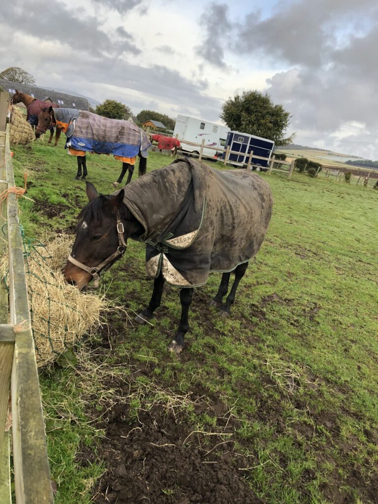 Burnbank Stables