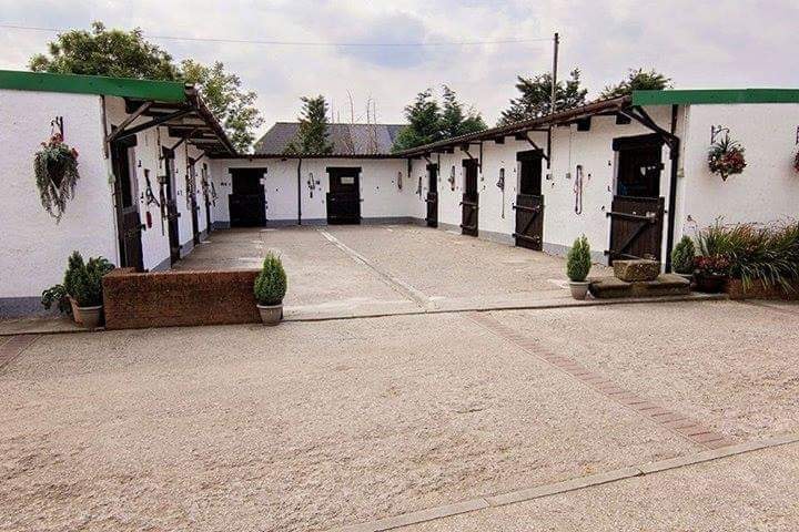 Calico Livery Stables