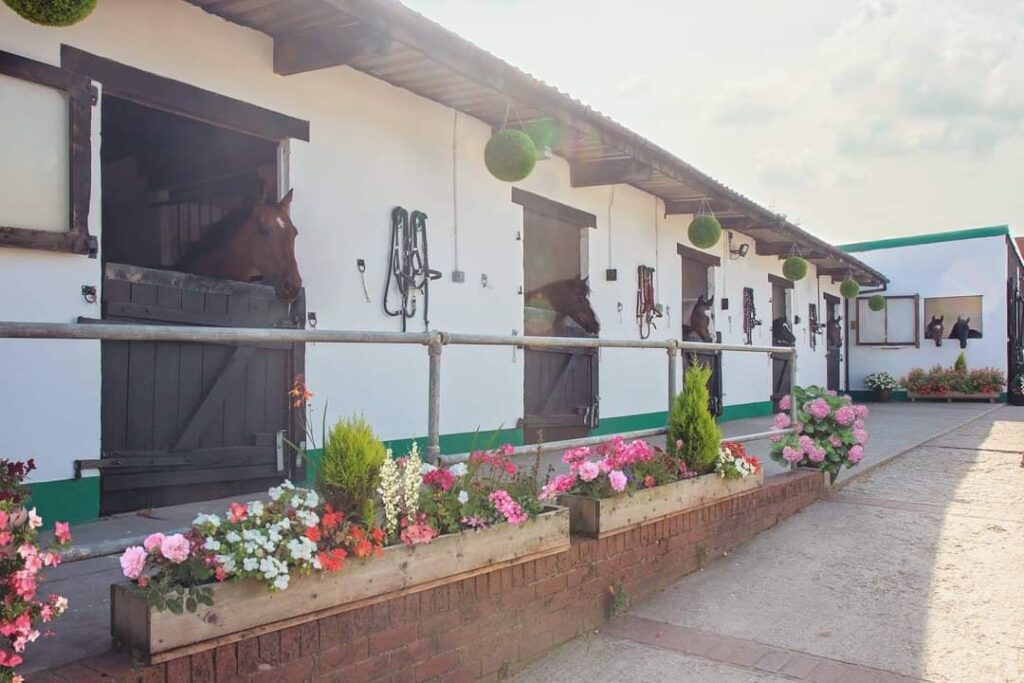 Calico Livery Stables