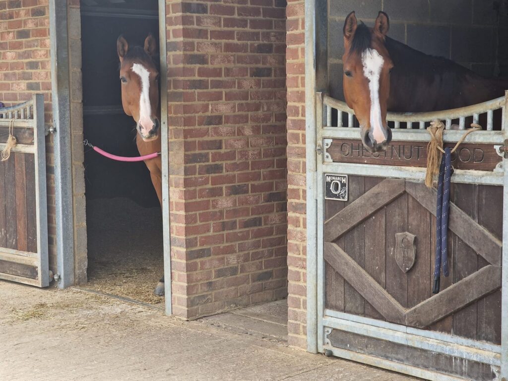 Chestnut Wood Farm Livery and Training