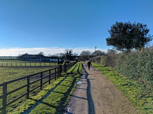 Compton Grove Farm and Stables
