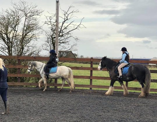 Campsie View Stables