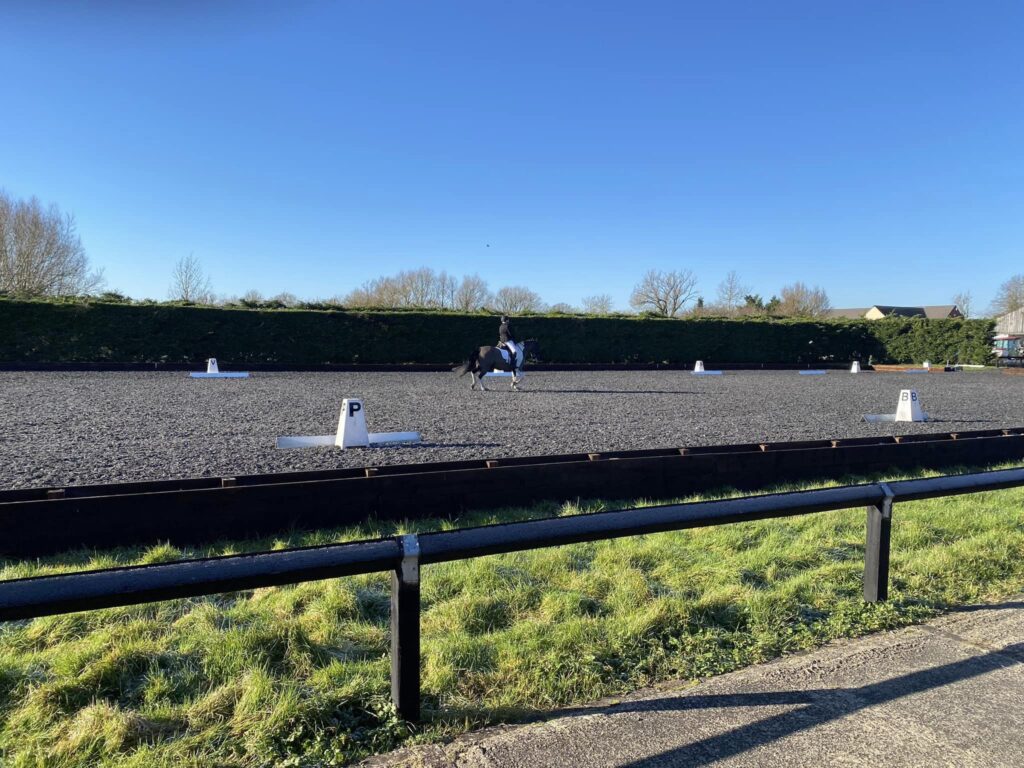 Caron Roberts Equestrian