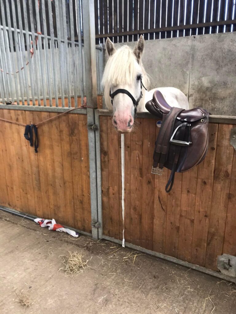 Carr Farm Equestrian