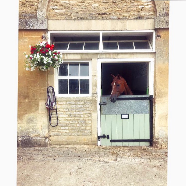 Charlton Park Stables