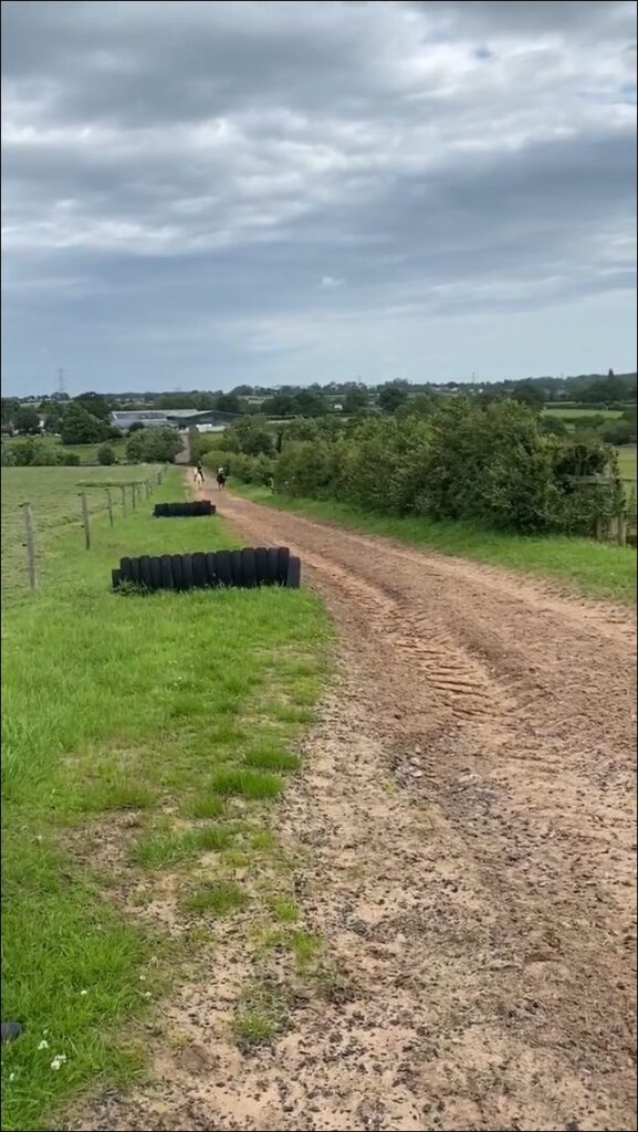 Cheshire Livery Stables