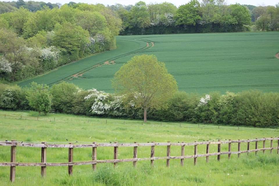 Cheval Court Stud Livery