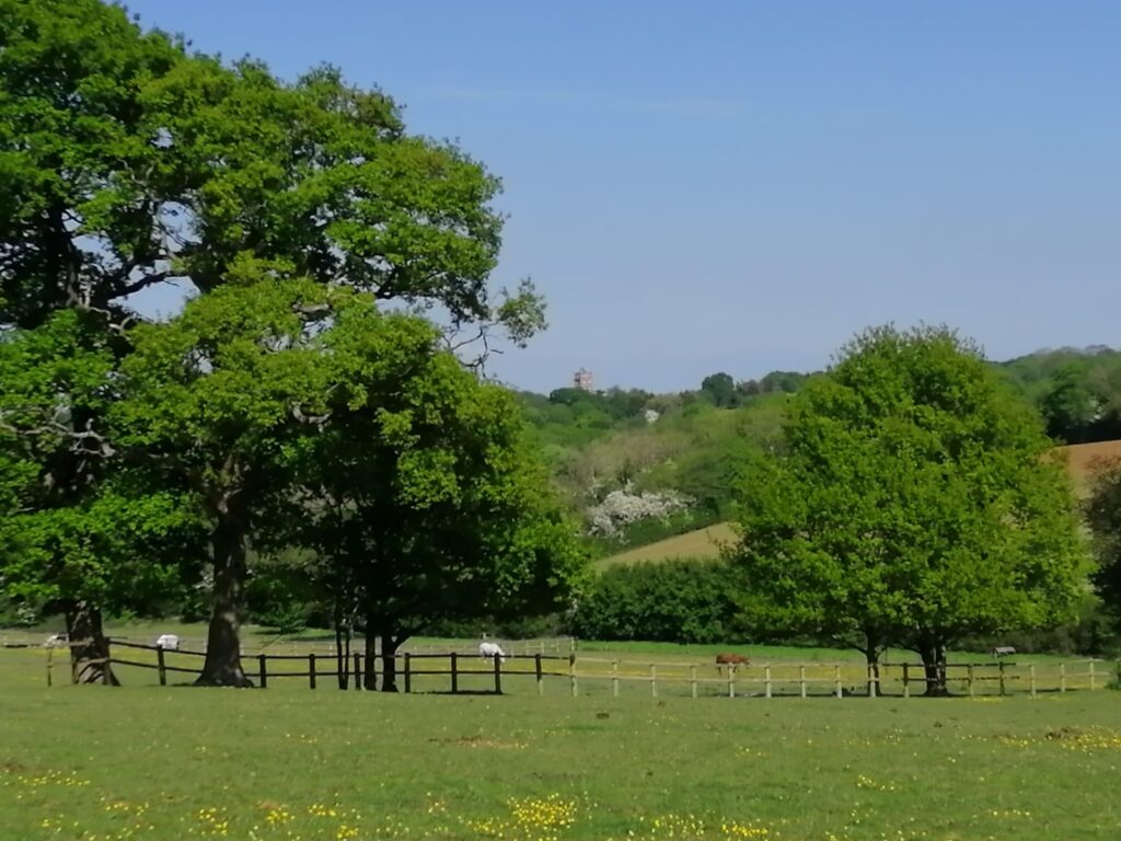 Cheval Court Stud Livery