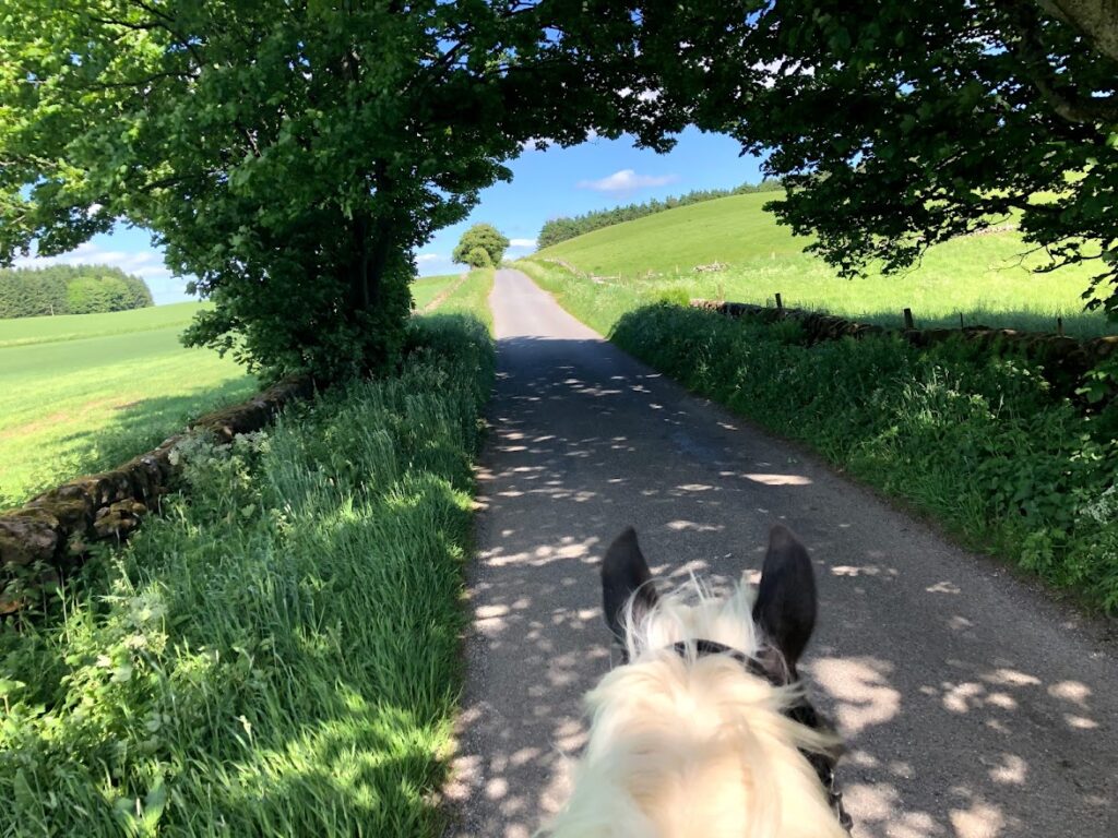 Cleish Equestrian
