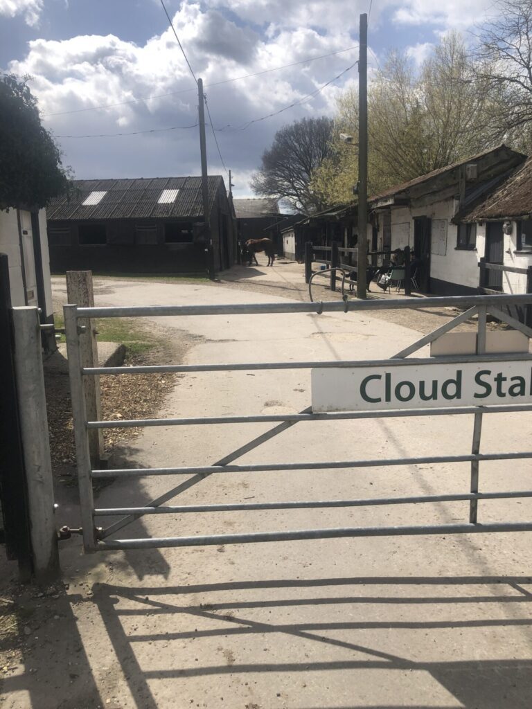 Cloud Stables