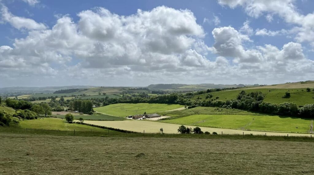 Court Farm Equestrian