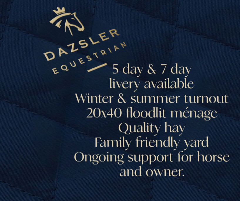 Dazsler Equestrian