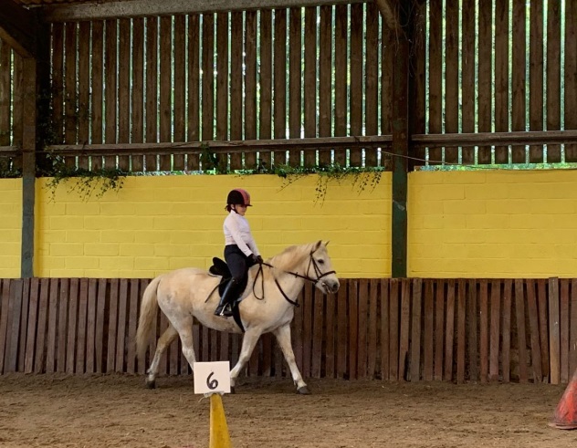 Easter Hall Park Stables