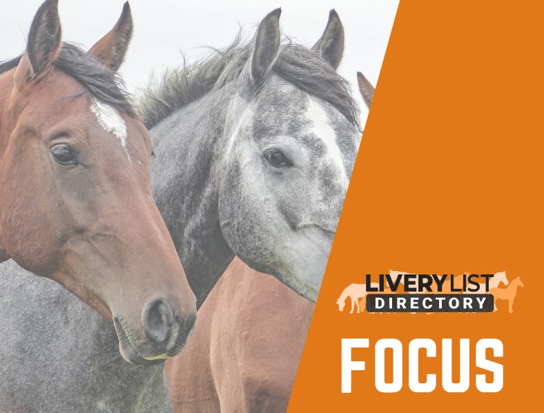 AI’s Role in Horse Racing: A Work in Progress