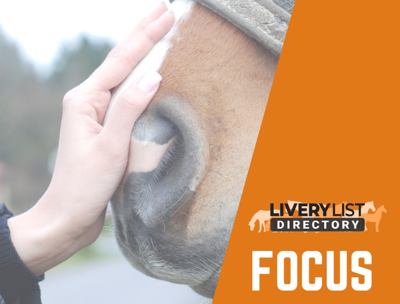 Protecting Client Mail at Your Livery Yard: A Practical Guide