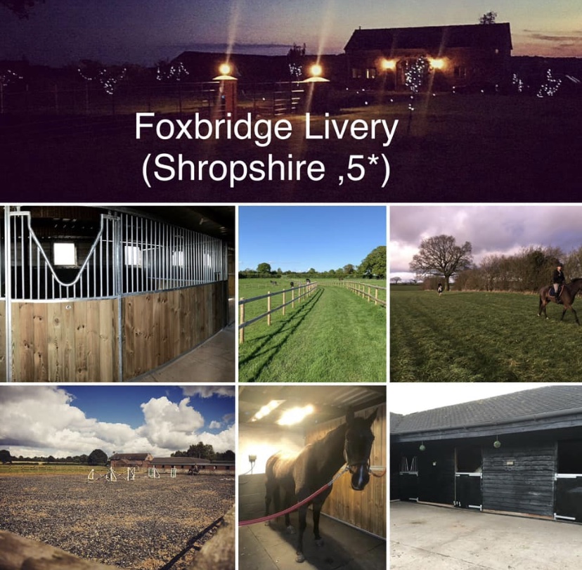 Foxbridge Livery