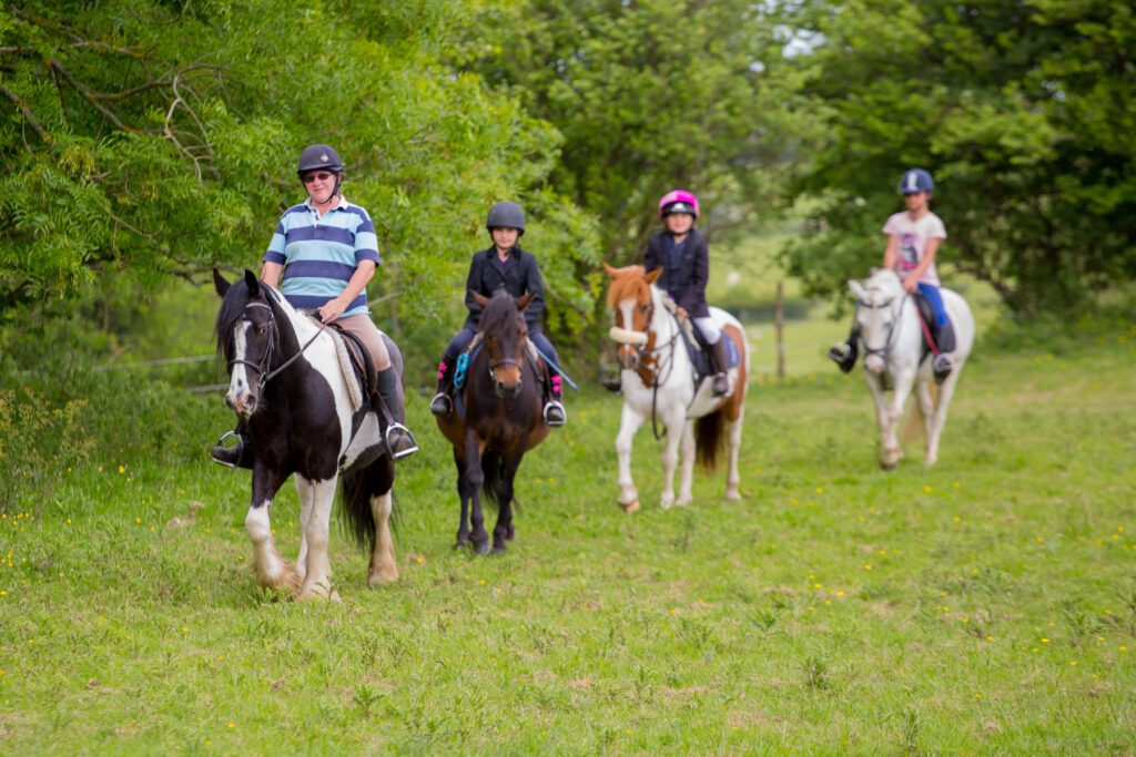 Grove Farm Riding School