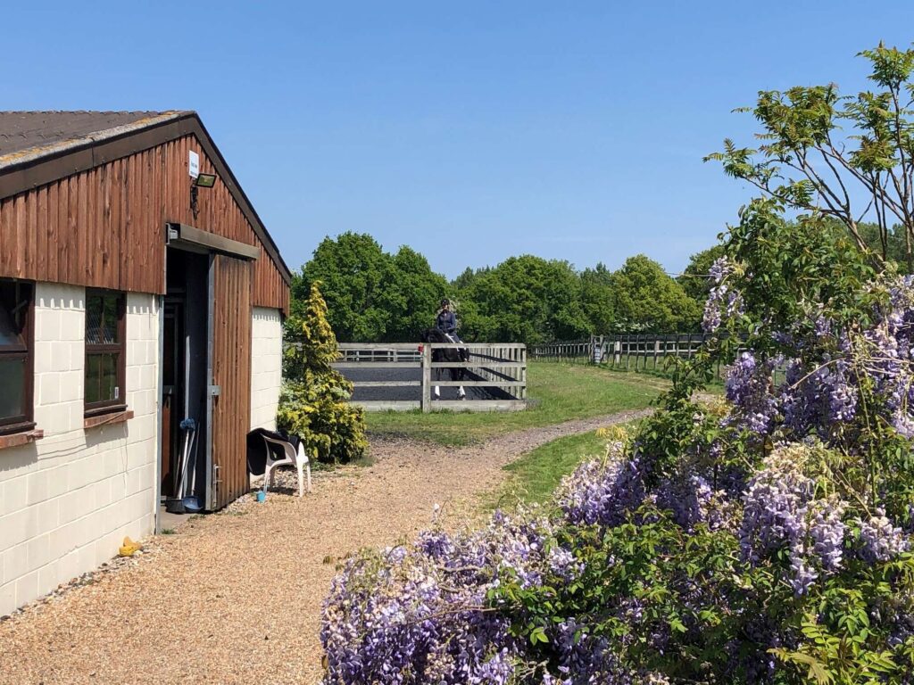 Gemsbrook Dressage