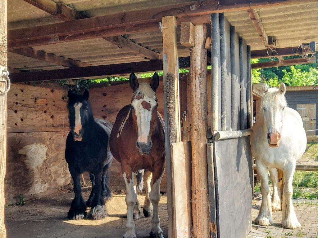 Windy Acres DIY Grazing