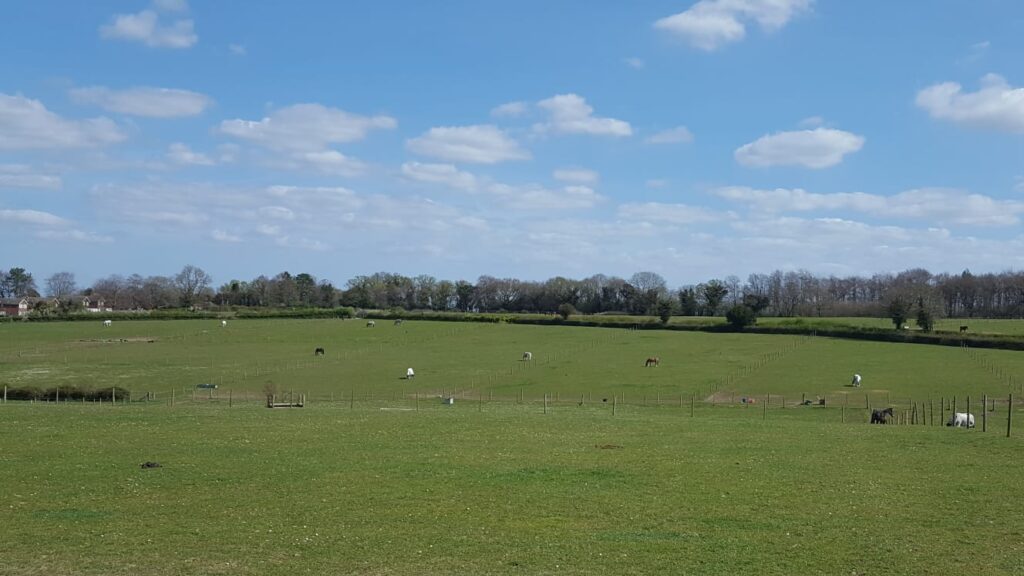 Great Bookham Equestrian Centre