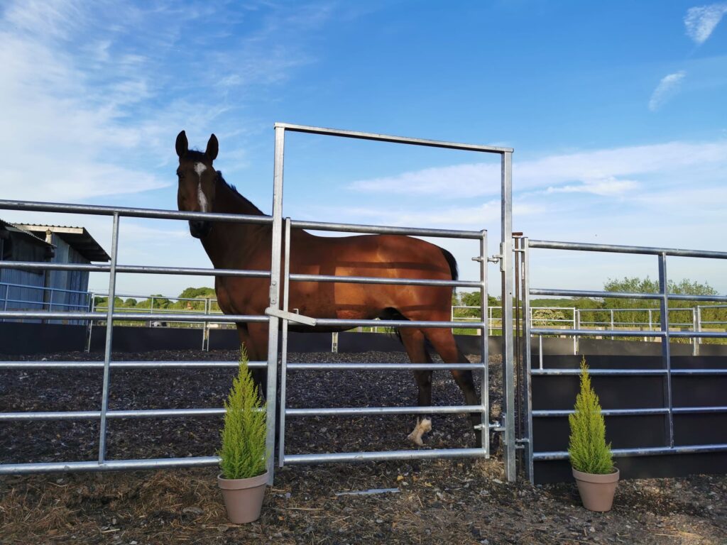 Greenfields Equestrian