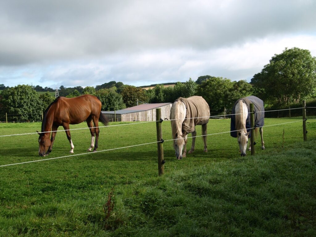 Hay Lake Farm Livery