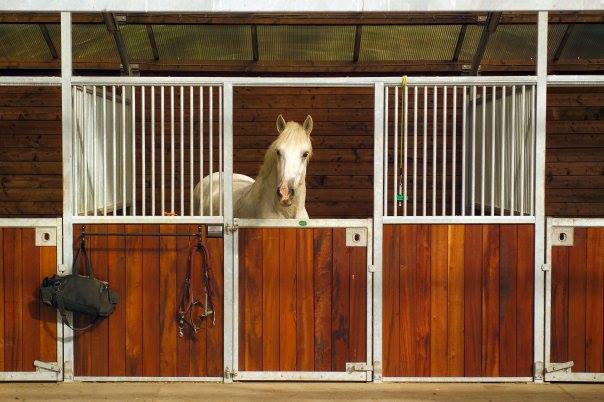 High Plains Equestrian Centre