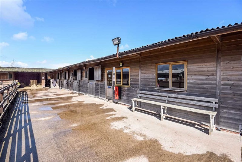 Hill Farm Equestrian