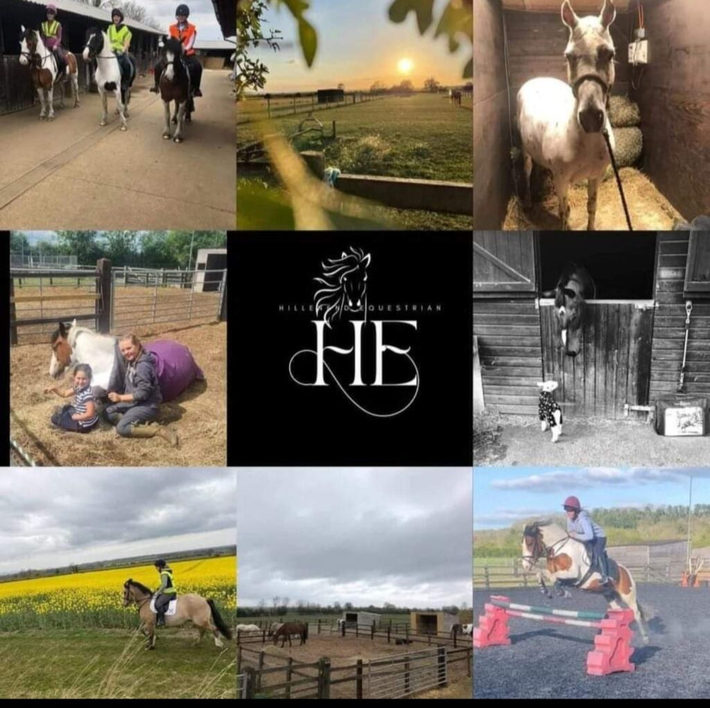 Hillenend Equestrian