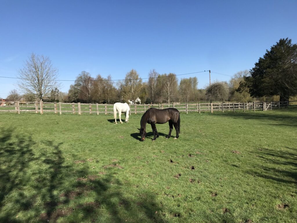 Hunton Manor Stables