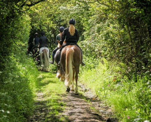 Island Riding Centre