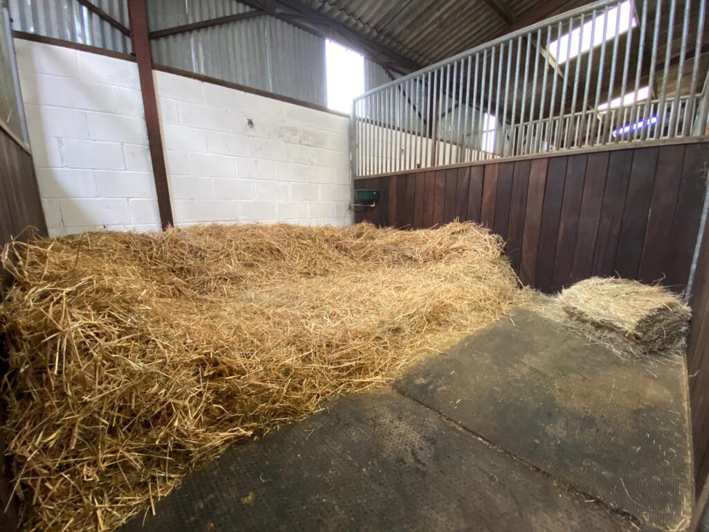 Caroline Hutton Equine (Kencot Livery)