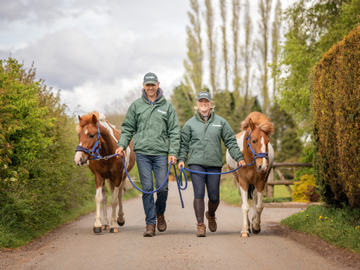 Langton Farm Stables
