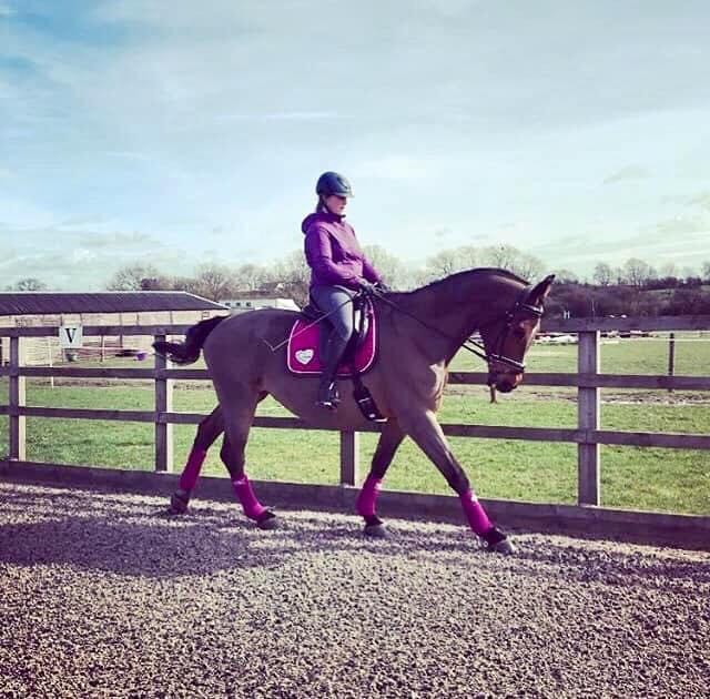 Langton Farm Stables