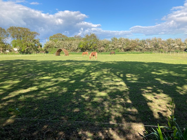 Westcroft Stables