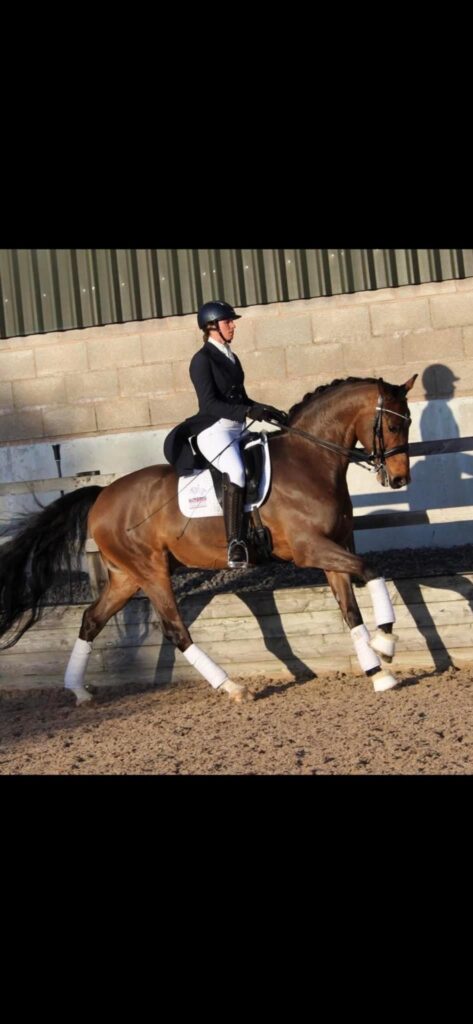 Logwood Dressage