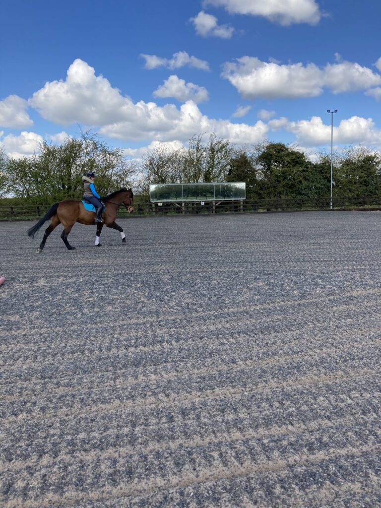 Long Lane Equestrian