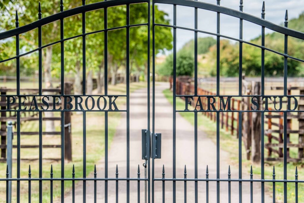 Cotswold Livery and Dressage with Daniel & Lucy Bremner