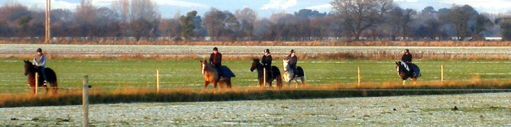 Monnington Equestrian